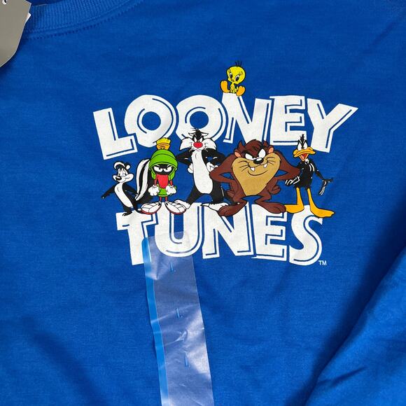 Looney Tunes Women's Blue That's All Folks Graphic Sweatshirt - Size Large - NWT - Picture 4 of 7